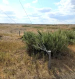 Мачта составная алюминиевая, Длина 30 метров - Диаметр 70 мм — изображение 15